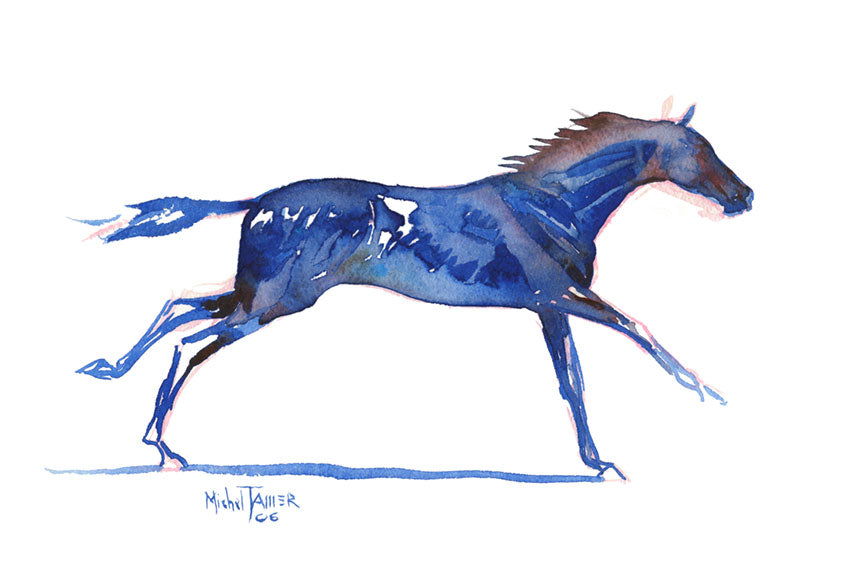 Gift Card For Horse Lovers